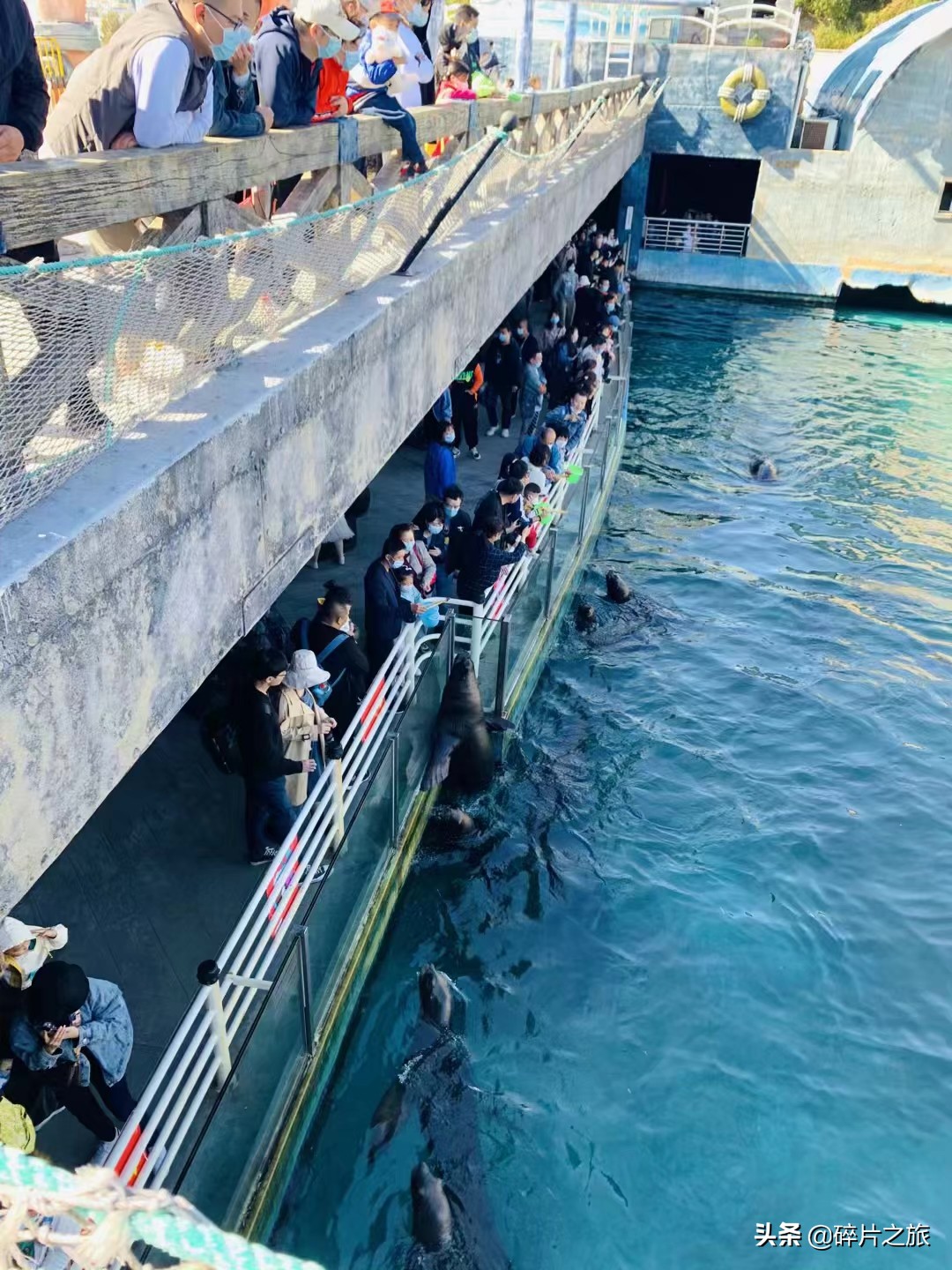 海滨城市大连旅游必备攻略,美丽的海滨城市大连星海广场