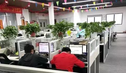 绿植花卉出租多少钱,佛山南海区花卉绿植租赁效果图