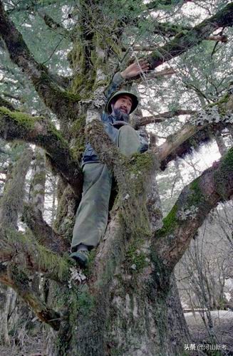 寻找野人的张金星现在如何,张金星神农架野人