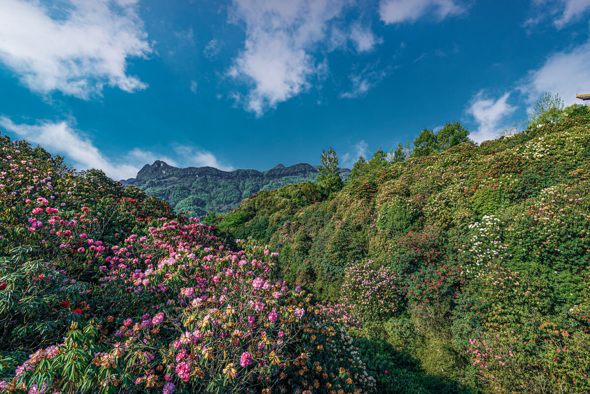你所不知道的贵州冷知识,贵州有意思的10个冷知识