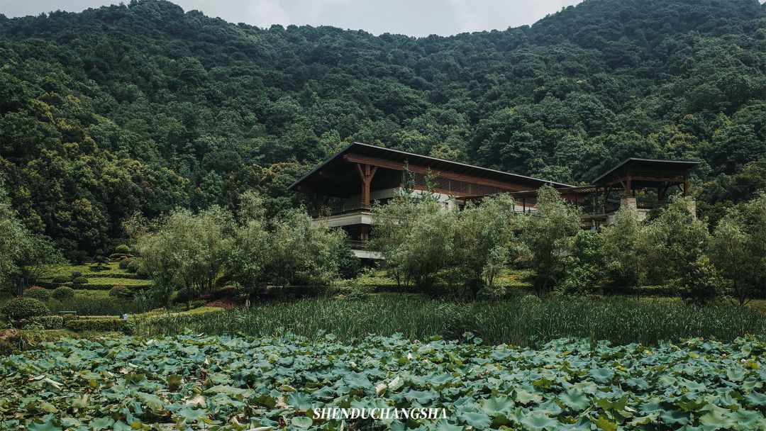 长沙旅游攻略必玩的十大景点介绍,长沙适合秋季打卡的景点