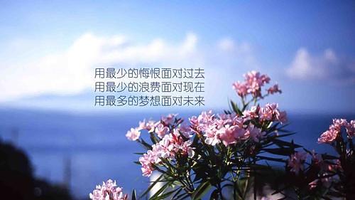 拼多多无货源开店流程及费用多少,拼多多无货源开店如何操作