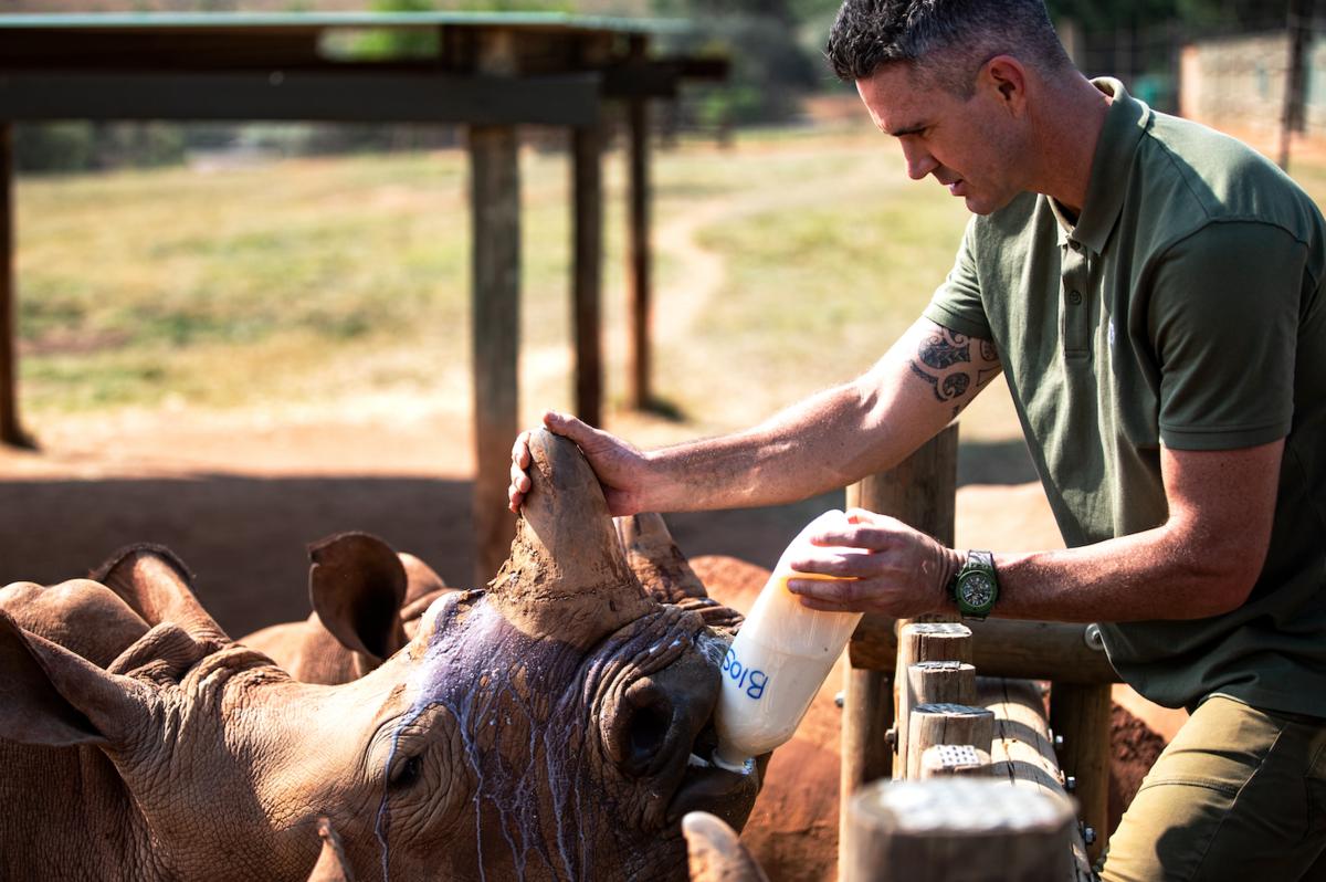 KevinPietersen:保护濒危动物,需要创业精神和专业态度