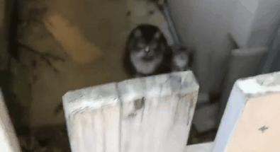 24岁男子喜当爹去派出所,90后男子相亲被误当爹