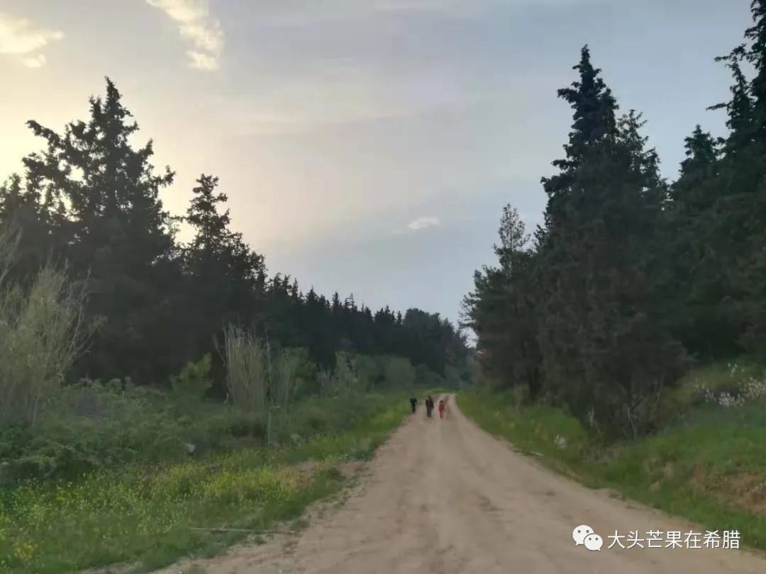 希腊买车需要多少钱,希腊买车攻略