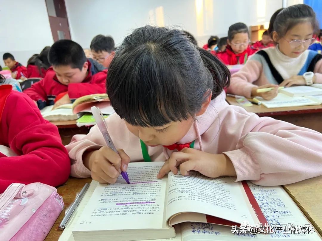 小学双减政策下的高效课堂,小学双减课堂教学提质增效