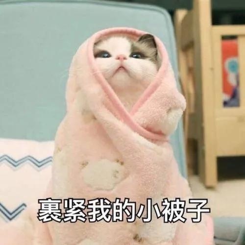 辽宁丹东迎暴雨大风天气,明天丹东天气预报最新