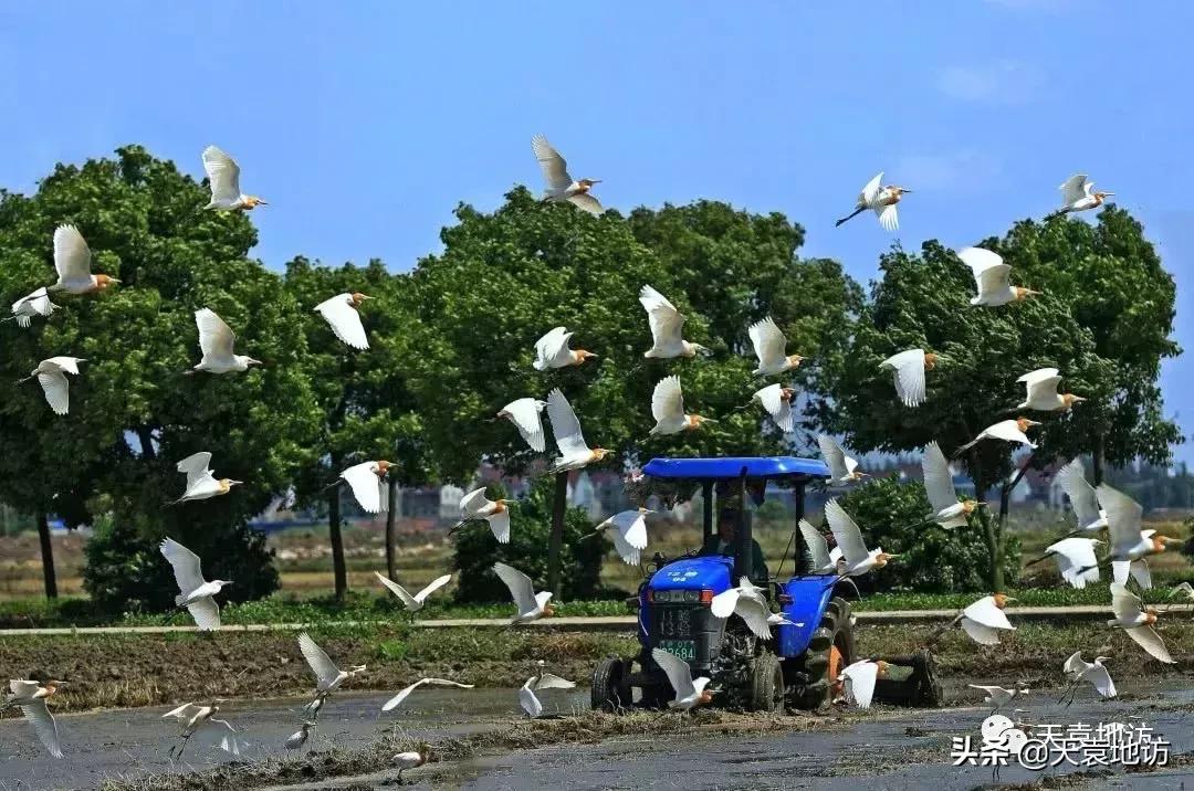 松江历史小故事,松江的故事
