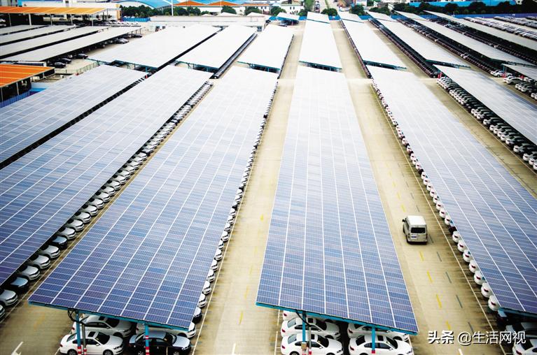 烟台清华教育民营企业家分享-敢为绿色环保产业的弄潮儿-吴月玲