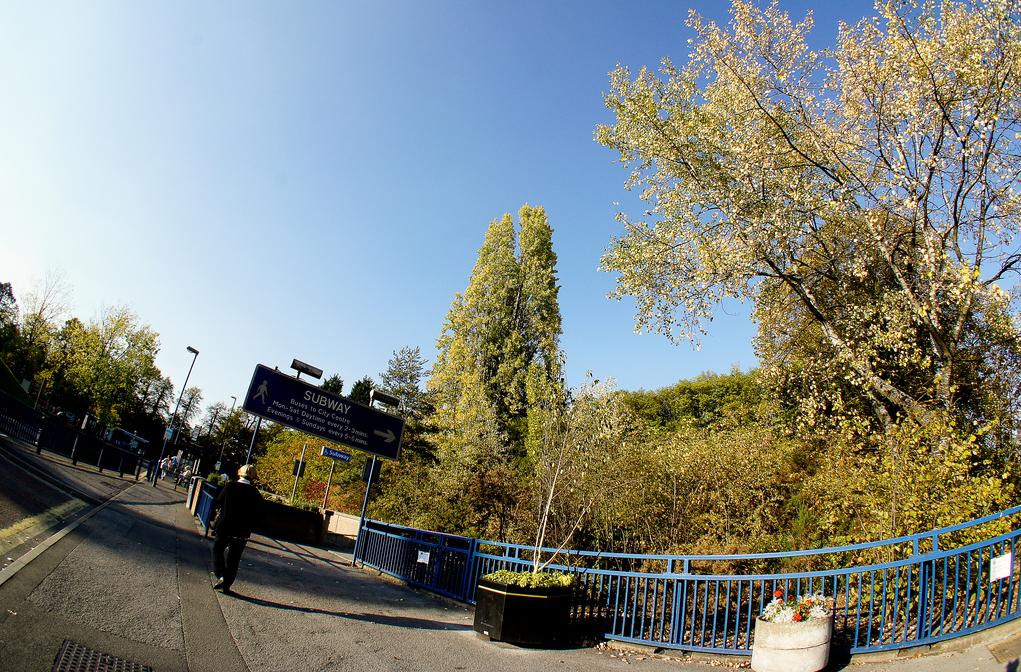 instagram最受欢迎标签,instagram最受欢迎的十大网红