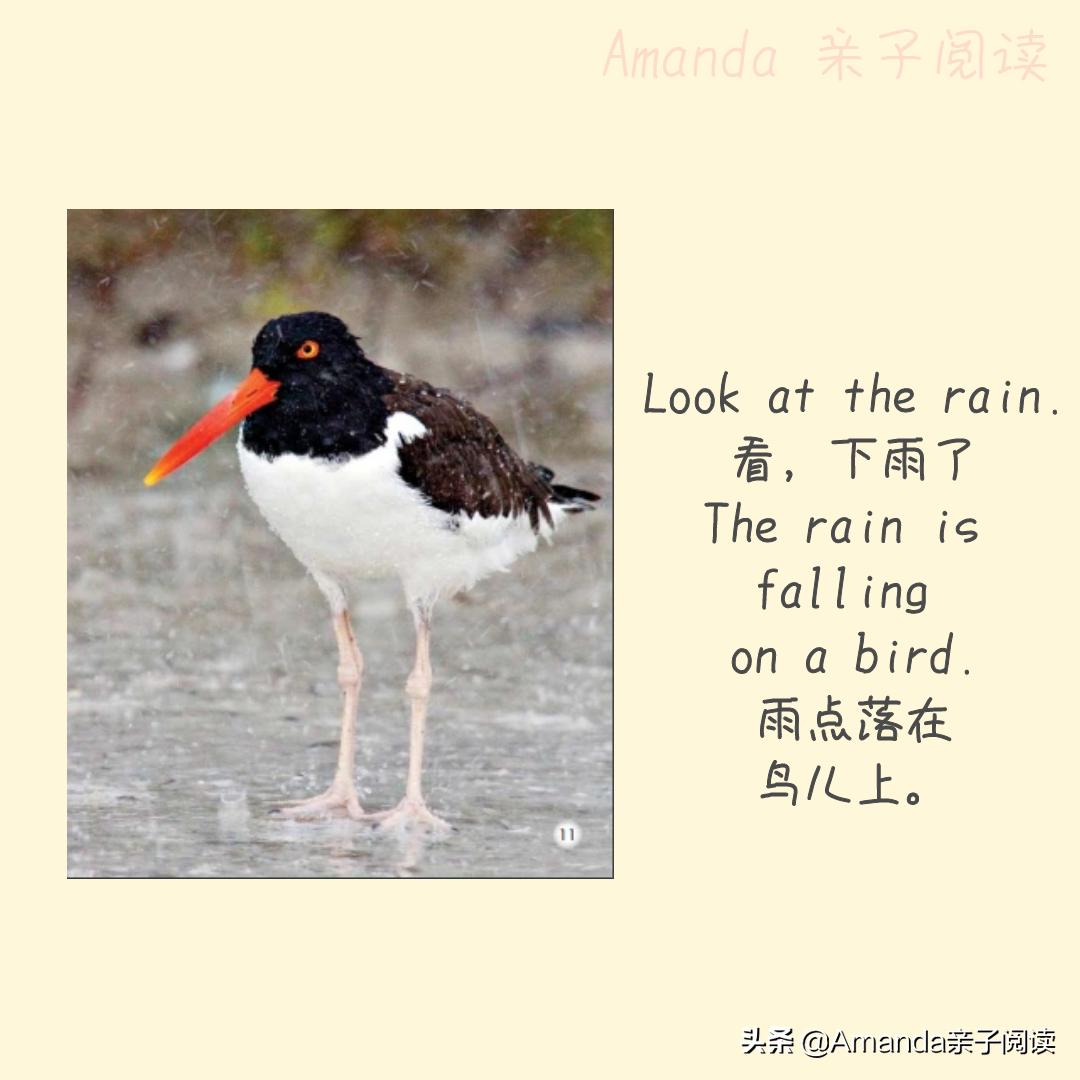 英语绘本therain,英语绘本rain电子版