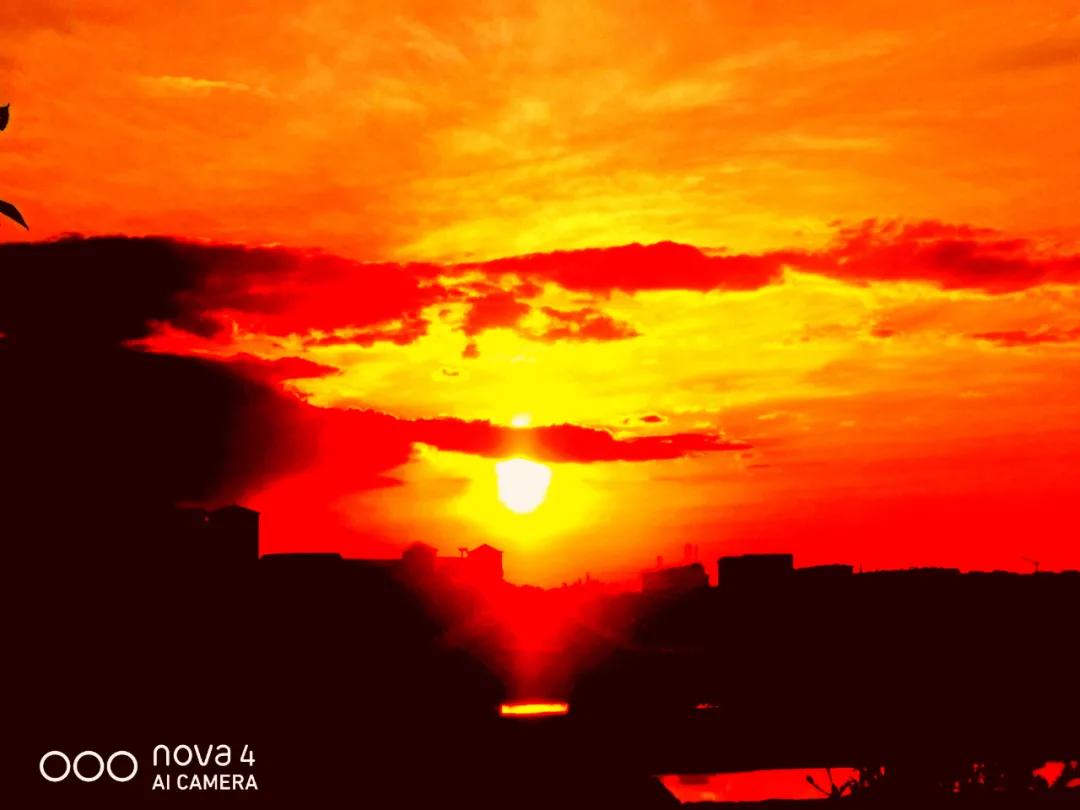 昨日散文,昨天散文