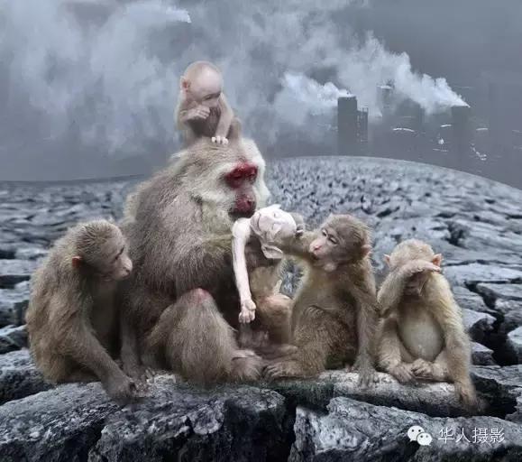 大美中国主题摄影作品征集启事,第五届华人摄影展入选名单