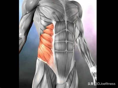 深蹲导致腰痛要停止训练吗,练习深蹲对腰酸背痛有疗效吗