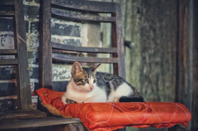 贺州旅游必去十大景点排名,贺州旅游十大最佳景点推荐