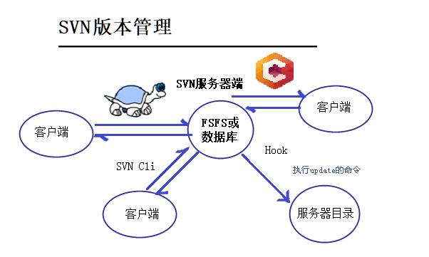vcs新手入门教程,vcs仿生光谱技术