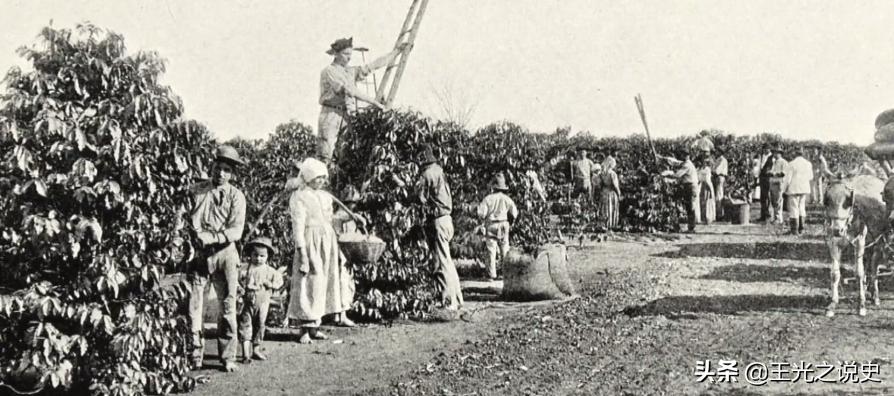 巴西一手好牌打得稀烂,巴西如何把一手好牌打烂