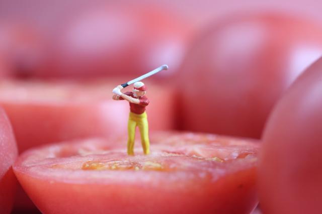 摄影师镜头微缩世界,摄影师镜头里的美