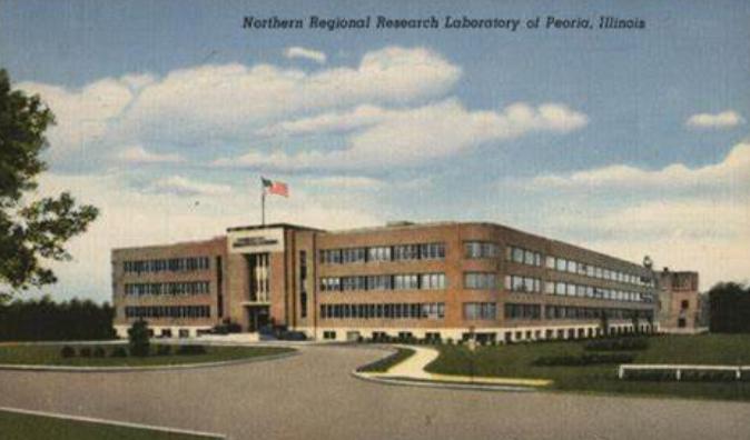 盘尼西林研发史,二战盘尼西林作用功效