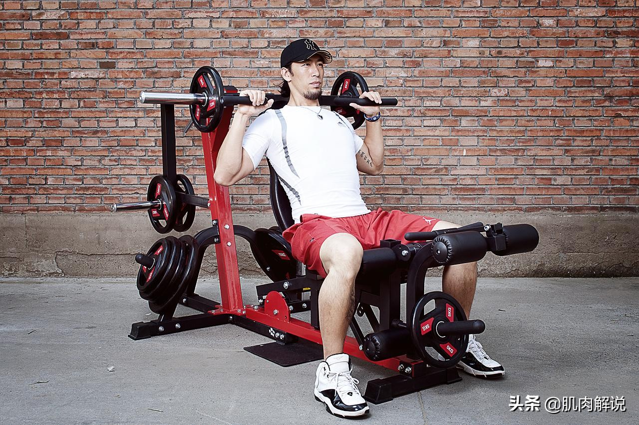 5x5力量训练能增肌吗,健身5x5适合哪些动作