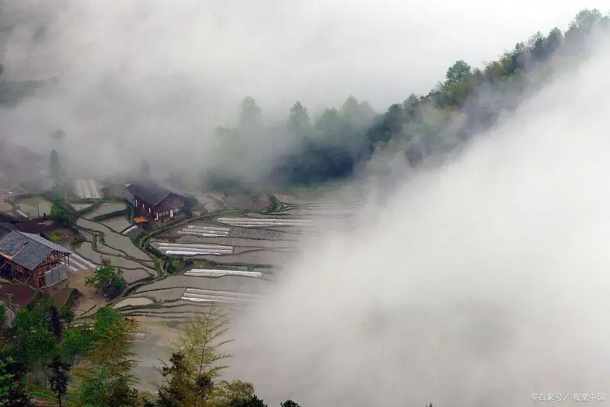 有一种花秋天种下冬天开花,有一种花秋天开的很漂亮是什么花