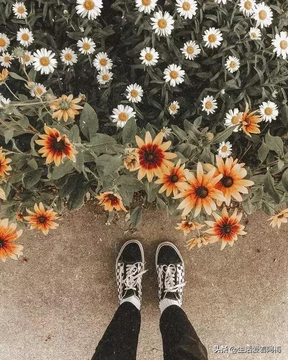 鞋子怎么穿不伤脚,哪些鞋子穿着不会伤脚