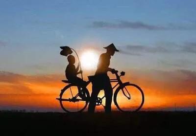 为何家会伤人书籍分享,为何家会伤害人