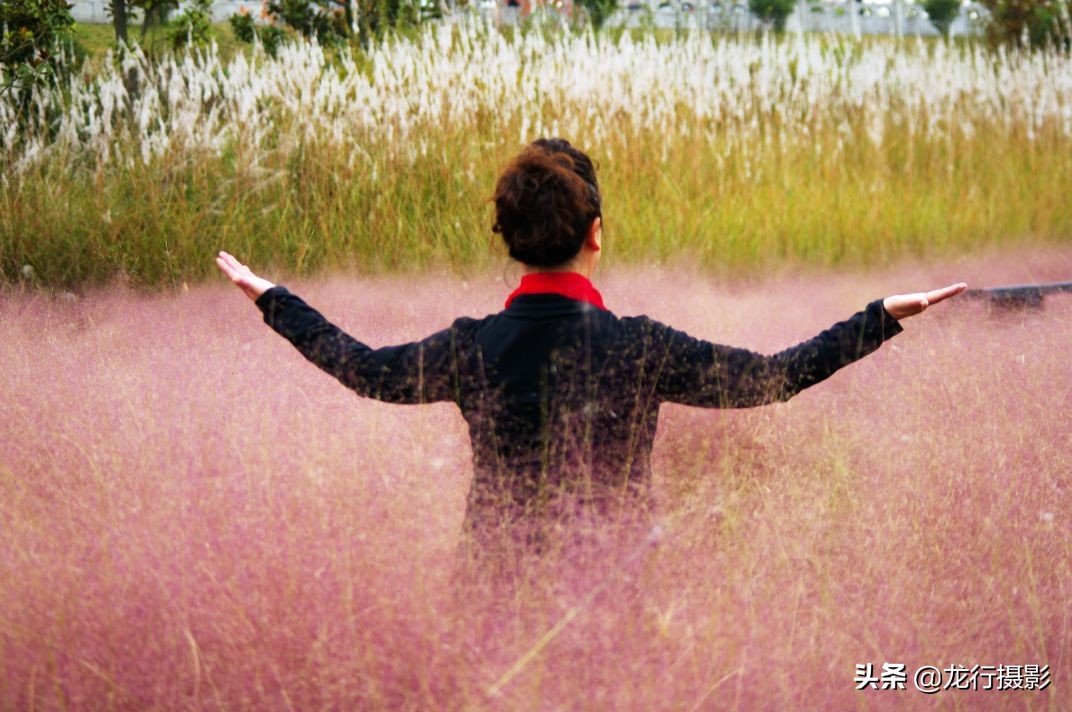 一度封机的老相机灰尘终于被清除了，试拍二张，色彩非常喜欢