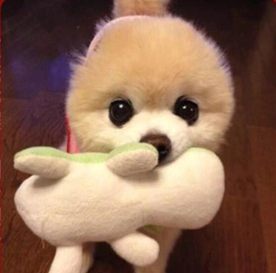 笑话十则笑翻天,笑话十则2015