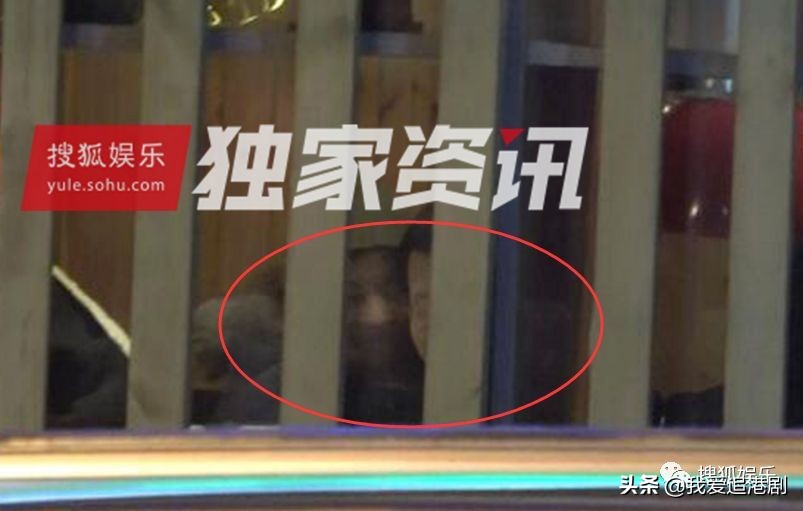 赵薇向男友人索吻,赵薇遭猴子索吻