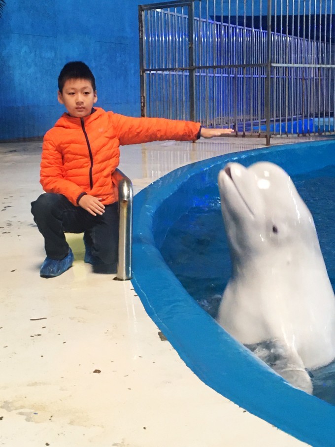 泉城极地海洋世界离济南西站多远,济南海洋极地世界离济南西近吗