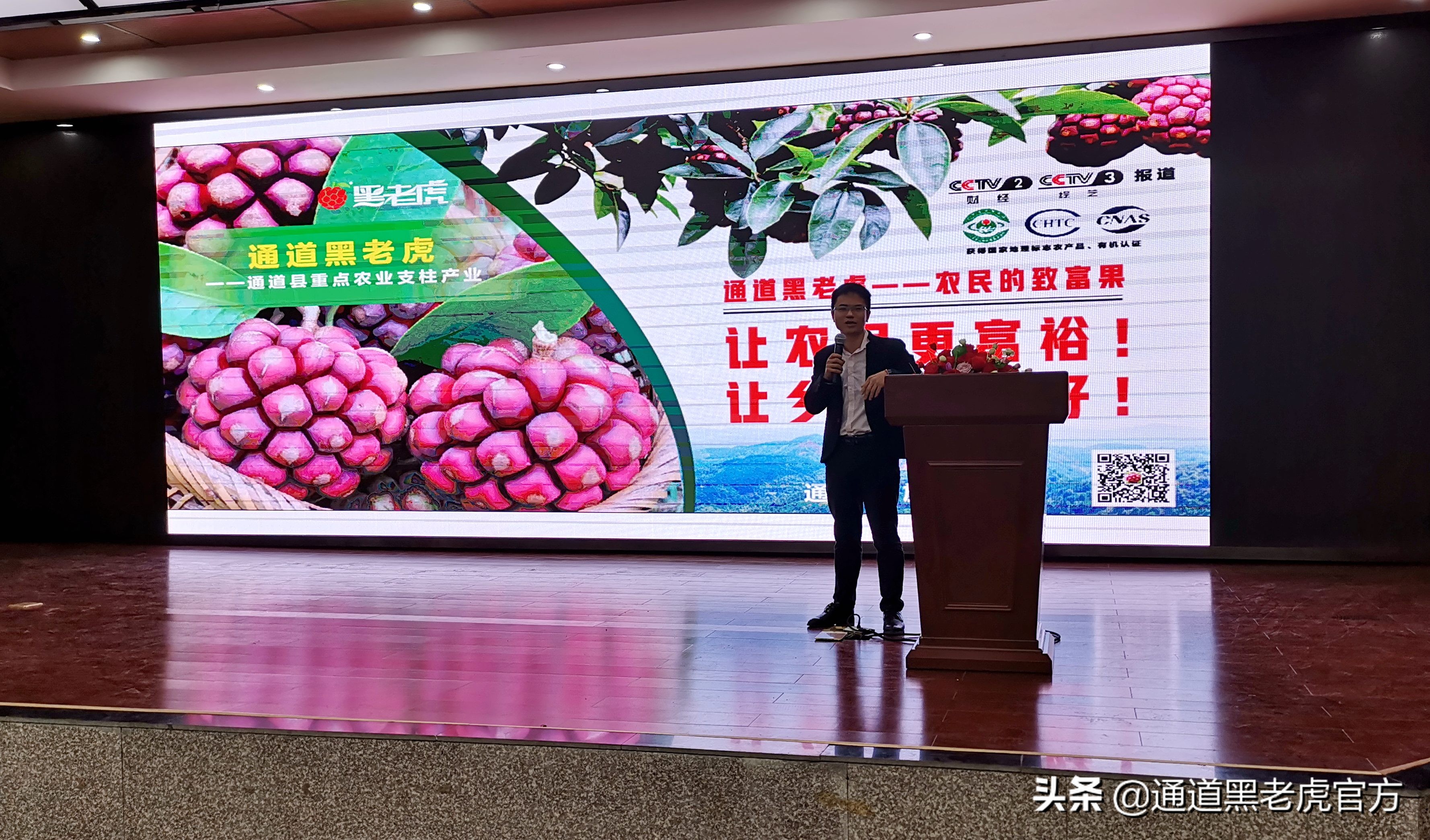 被省委书记惦记的通道小伙,正带村民种山果致富(转载)