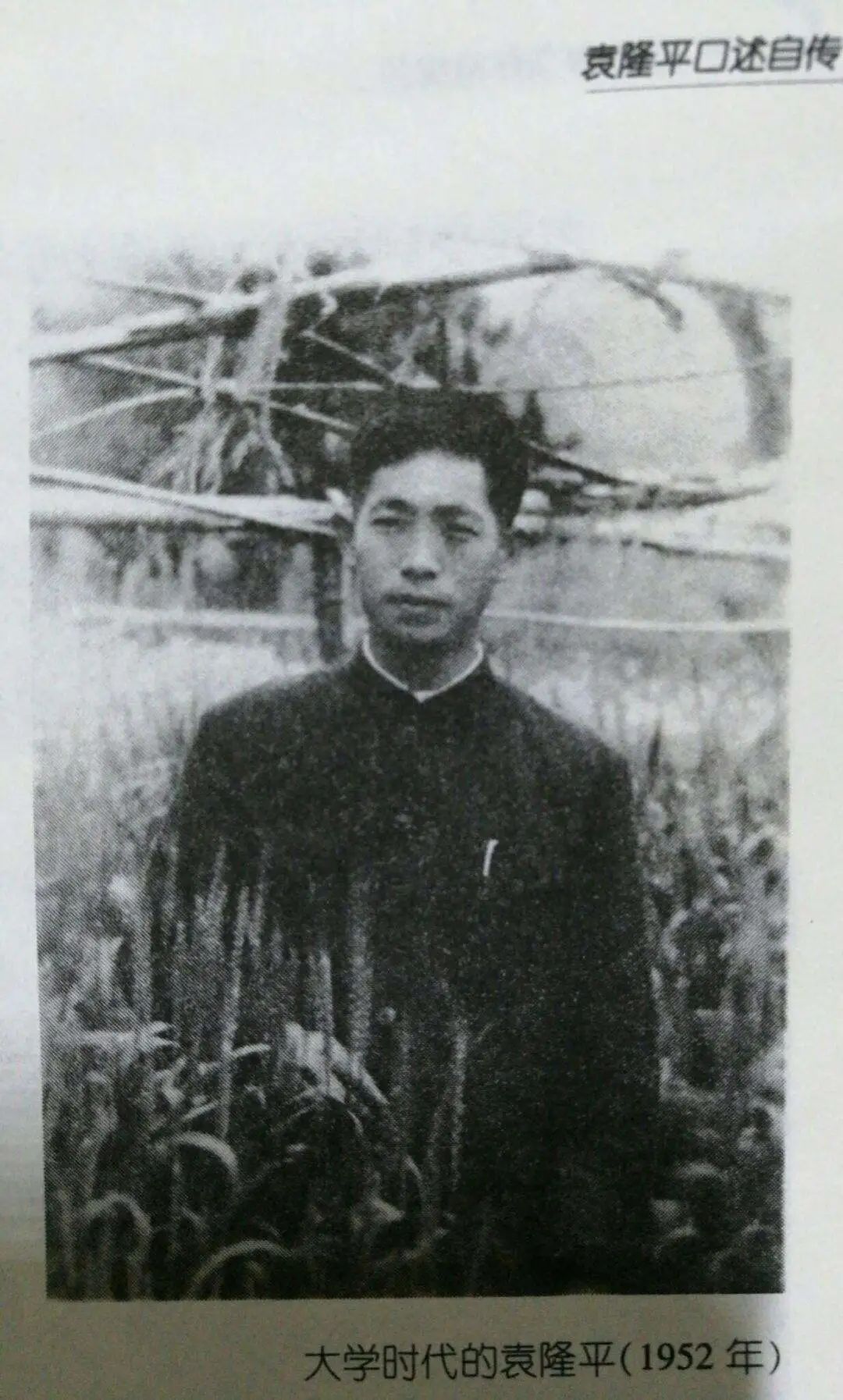 20世纪90年代后期袁隆平,90年代袁隆平视频