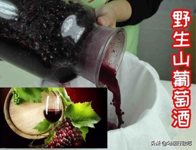 吉林市吃中国美食,吉林美食必吃排行榜