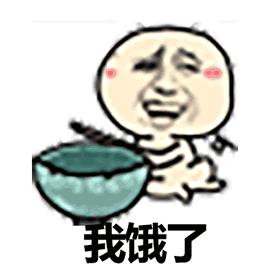 荷兰猪受到惊吓不吃食怎么办,荷兰猪感到不开心的表现