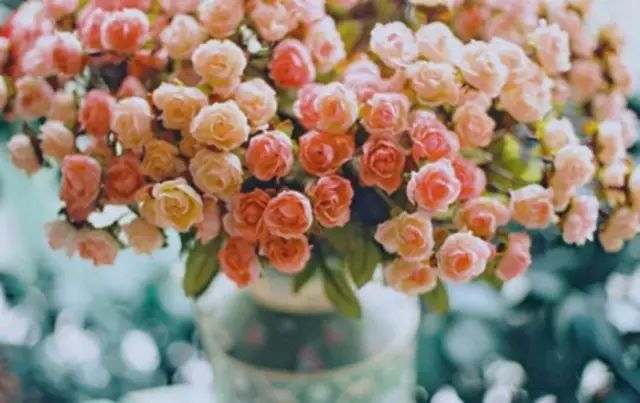 人生6句话渡人渡己句句在理,渡己亦渡人语录