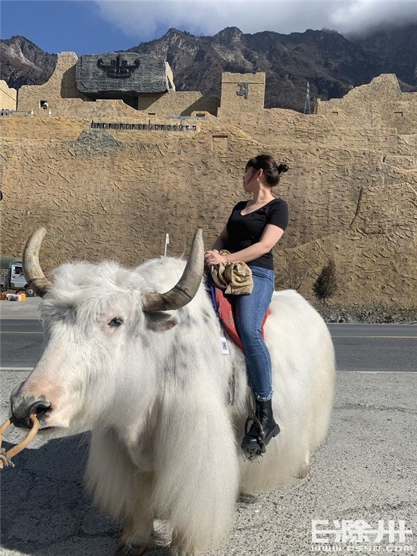 设计师吴子霞，半道出家却深扎设计之海，建筑与设计的满怀相撞