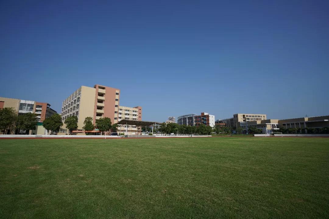 东莞桥头石竹师范附属学校,东莞石竹学校在东莞哪里