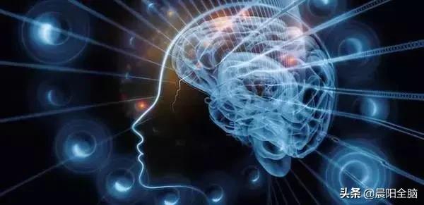 早教开发右脑的十种方法,成年人如何开发右脑思维