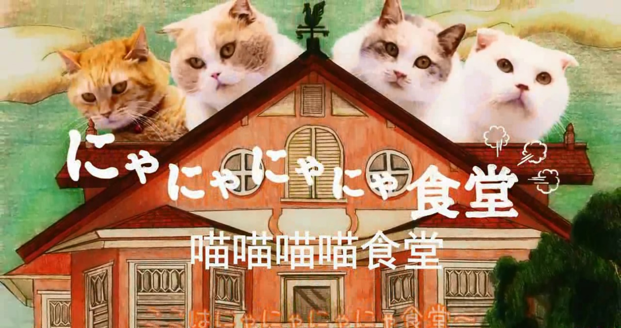 *男猛**必看！日剧日影中的9部治愈猫片，一起云吸猫吧