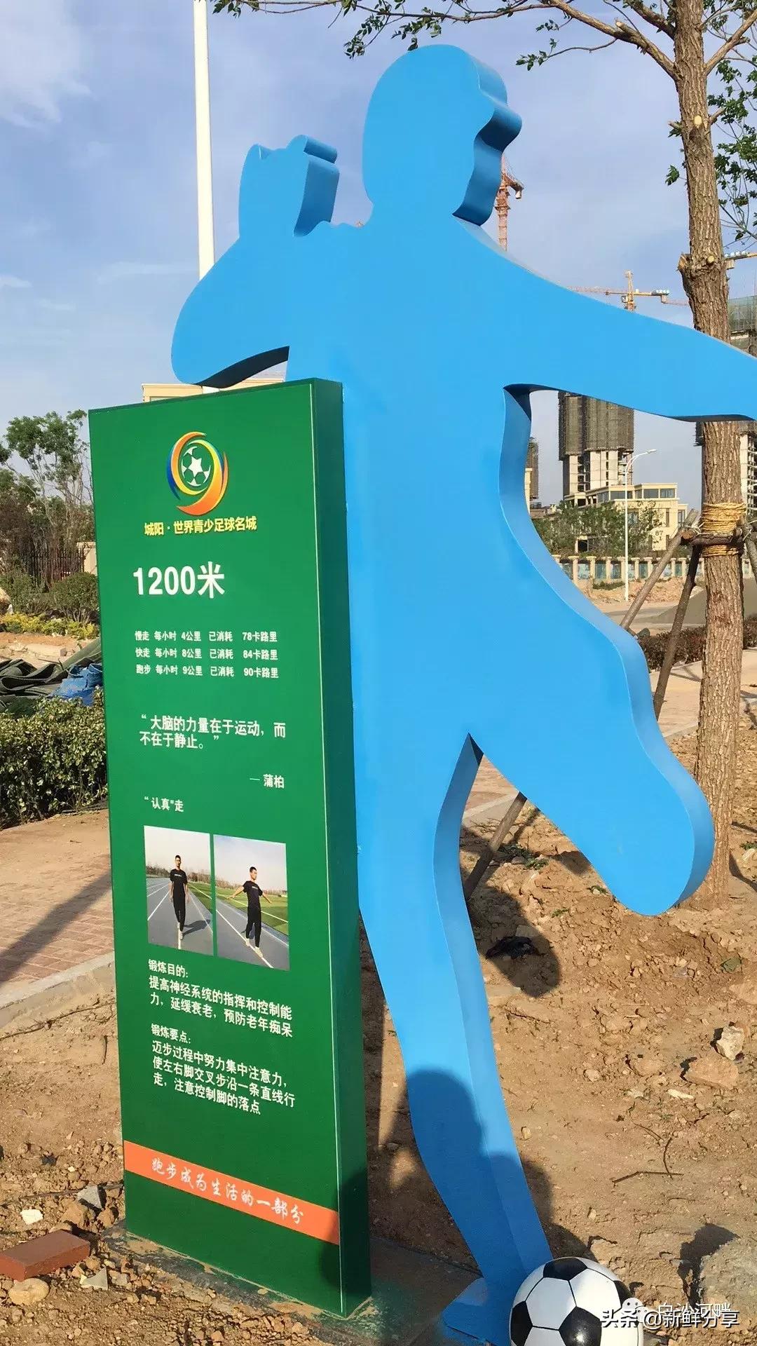 白沙湾足球基地比赛,2016哥德杯青少年足球赛开幕式