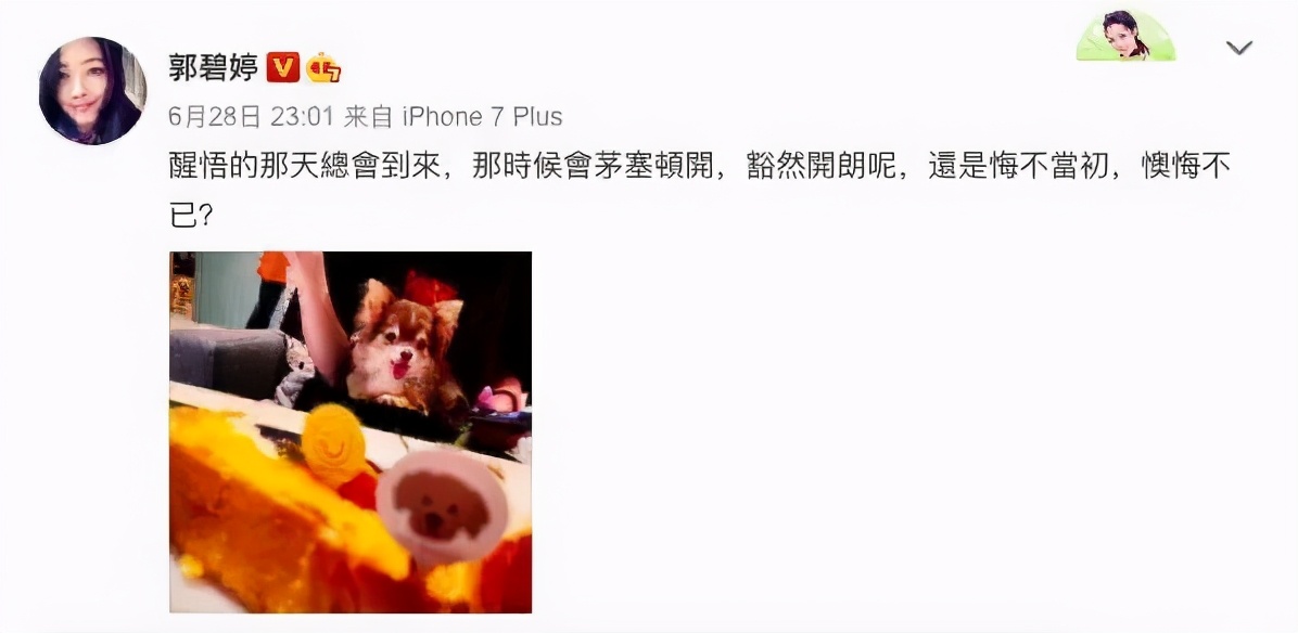 郭碧婷和郭晶晶的对比,郭碧婷和郭晶晶什么关系