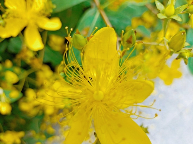 绝对值的题目解题技巧,绝对值的方程题解题技巧