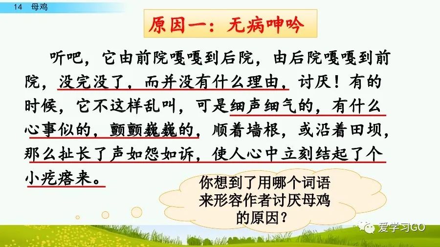 部编版四年级下册15课白鹅解析,部编版四下语文第13课母鸡预习