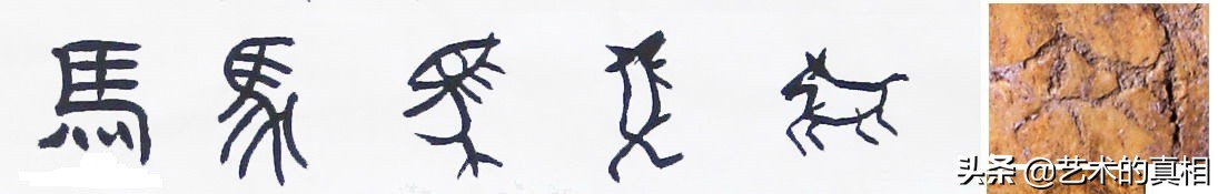 十二生肖中的象形字的演变,十二生肖字的演变