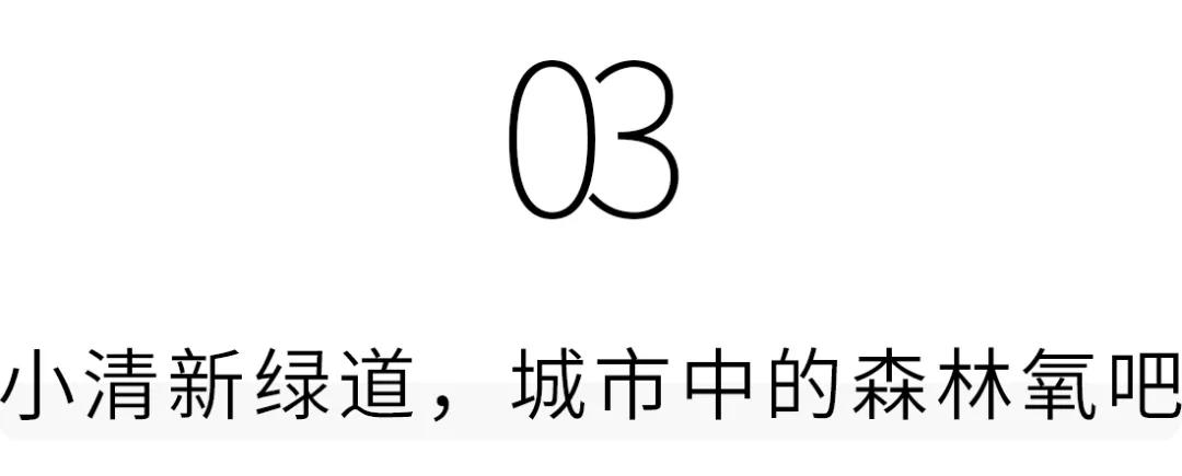 深圳梅林水库有山溪吗,深圳梅林水库在哪个区