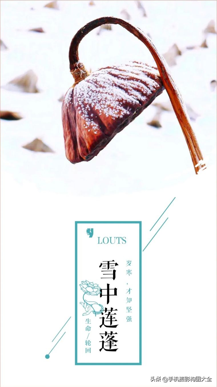 24-70拍人像使用技巧,24种手机拍摄技巧图片