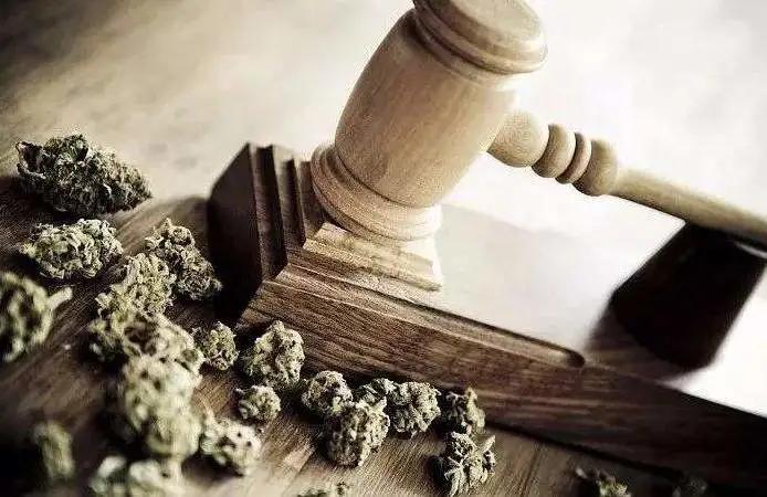 留学生回国什么东西不可带,留学回来不能进公检法吗