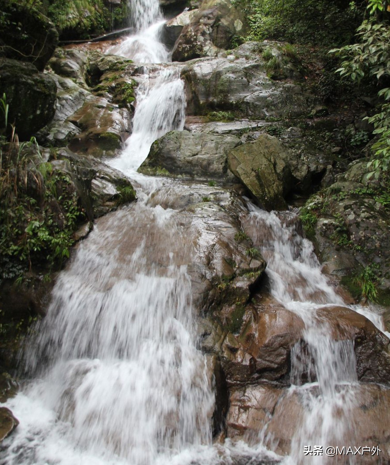 开启你的天然氧吧洗肺之旅,富氧洗肺好去处