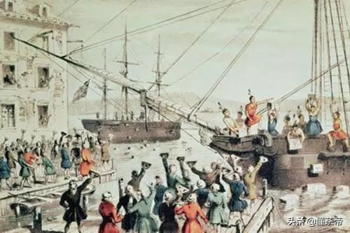 茶叶发展史视频讲解,讲解茶叶历史视频